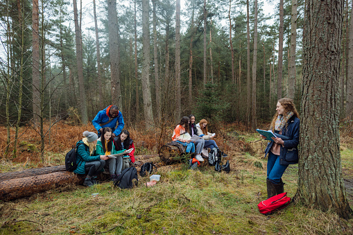 Wide-view in Rothbury's woodlands, two teachers are taking teenagers on an educational walk. They explore nature, blending lessons with the outdoors. They are reading from a map to guide their direction while sitting on a wooden log.