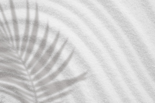 Sand texture with palm leaves shadow on spiritual pattern,Japanese Zen Garden white sand surface with coconut leaf shadow on circles,Harmony,Meditation,Zen like concept