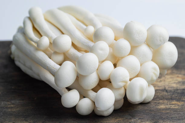 istock Fresh white shimeji mushrooms on a cutting board 1693432291