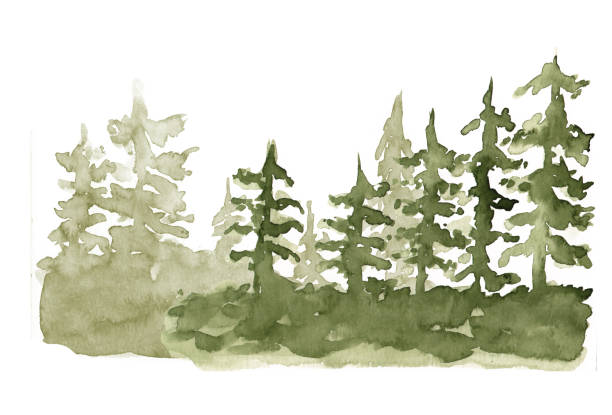 istock Watercolor Forest tree landnscape. Autumn pine tree Woodland background. 1693458197