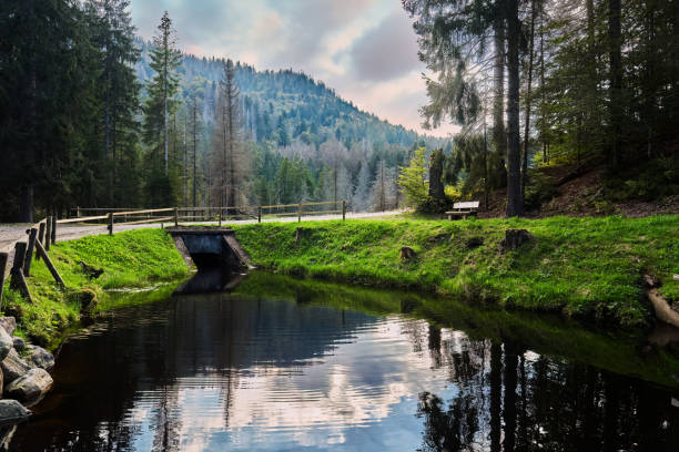 Black Forest landscape at Lake Feldsee, below Feldberg summit, Baden-Württemberg, Germany