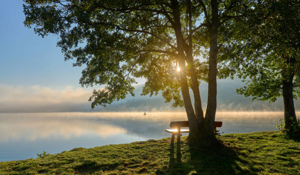 sunrise over lake in Black Forest, Germany