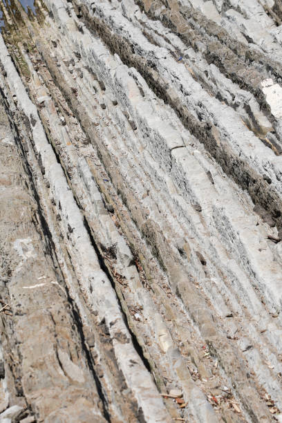 istock The Flysch formations on the Basque country 1693485270