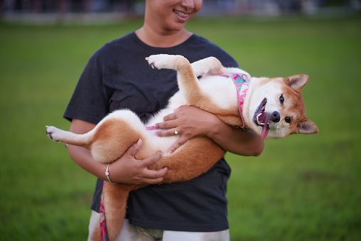 Woman holding shiba inu dog with smile in public park