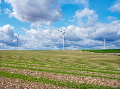 View of a wind farm in the countriside of Scotland on a spring day. Grazing sheep are visible in foreground on the left side of the picture.