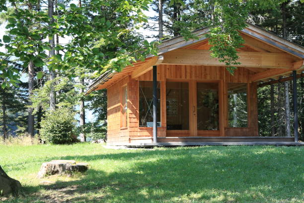 istock A wooden house in the spring forest 1693543525