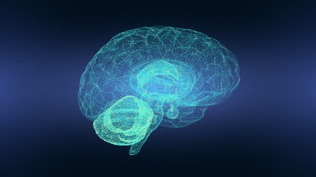 3D brain hologram animation loop