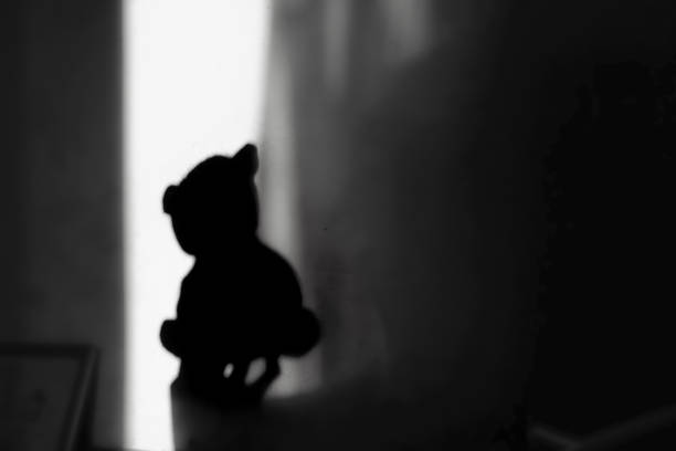 istock the shadow on the wall of a hand holding a small teddy bear. 1693547983