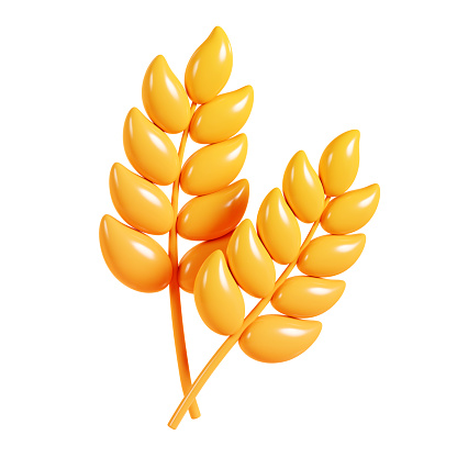 Wheat ear 3 d render illustration. Autumn farm harvest of barley with grain for seasonal design. Cartoon icon of yellow ripe rye or cereal spike for fall or thanksgiving concept.