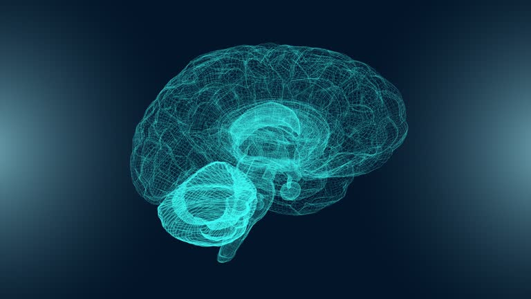 3D brain structure rotate animation loop