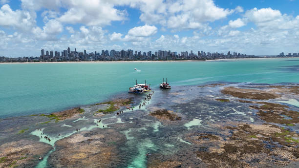 Natural Pools At Joao Pessoa In Paraiba Brazil. Natural Pools At Joao Pessoa In Paraiba Brazil. Seascape Landscape. Coast Coral Reef. Nature Boat. Snorkeling Background. Natural Pools At Joao Pessoa Paraiba Brazil. paraiba stock pictures, royalty-free photos & images