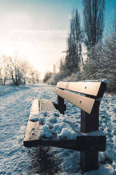 Trees and bench in the Park after the snow completely covered with snow