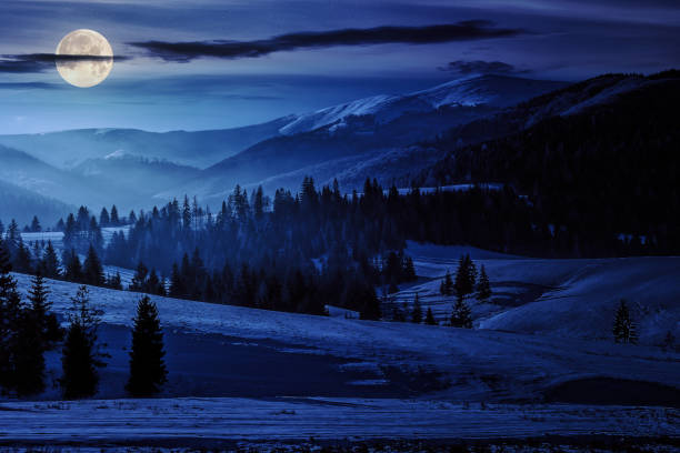 świerkowy las na ośnieżonej łące w karpatach nocą - winter lake snow fog zdjęcia i obrazy z banku zdjęć