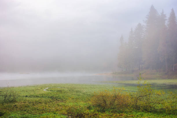 istock landscape with lake among forest in cold morning mist 1693580955