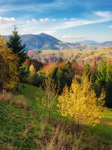 istock rural landscape in autumn 1693580987
