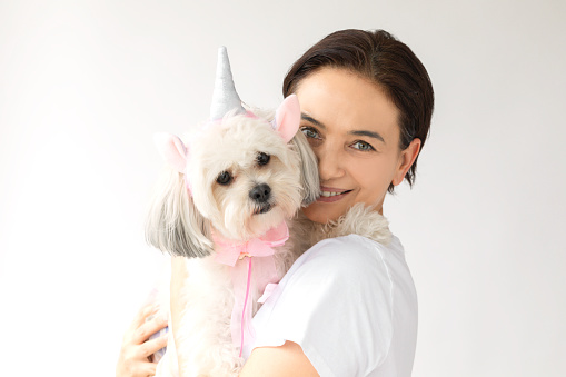 Female is holding white Maltese Shih Tzu dog wearing unicorn costume in front of white background