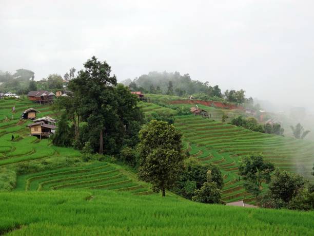 istock a mountain is surrounded by grassy slopes on a cloudy day 1693589318