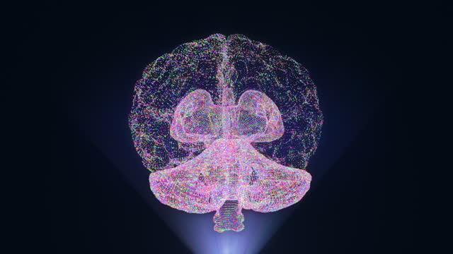 3D animation of brain hologram with neuron and receptor working