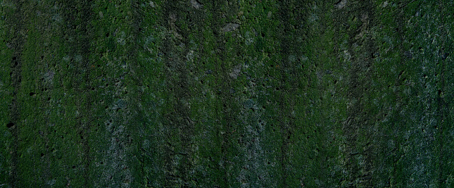 concrete wall with moss and lichen