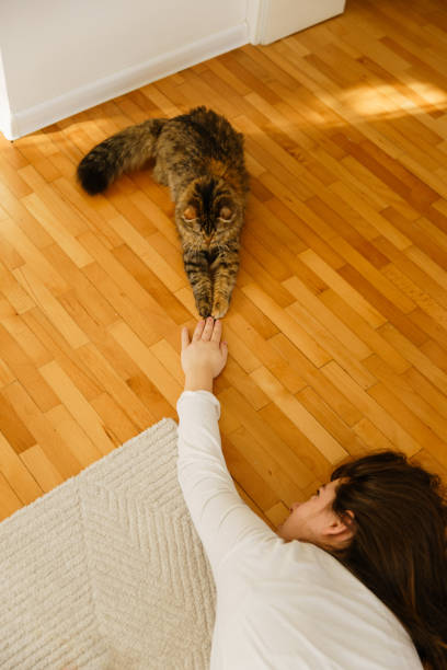 istock Girls lying on the floor and playing with her pets 1693621408