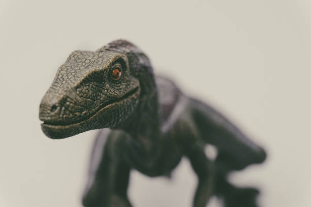 istock Velociraptor Dinosaur Plastic Toy Close-Up Face Eye Looking at Camera Macro Photo 1693624675