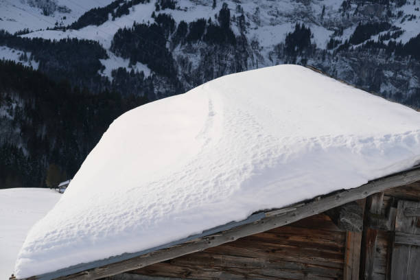 istock Thick snow layer on roof, Developing course on roof snow management for engineers, Roof Snow Removal Services, Solutions for Safety and Efficiency 1693625886