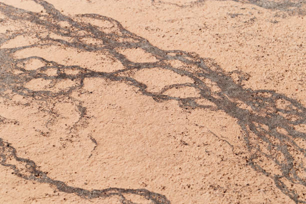 istock Macro photo shore salt lake, design texture pattern concept natural or wallpaper, abstract ornamental surface from sand and mud, dry ground landscape view, aesthetic nature background, curle lines 1693647169