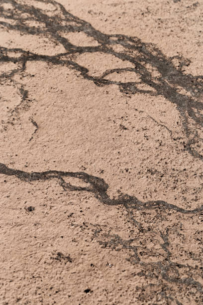 istock Macro photo shore salt lake, design texture pattern concept natural or wallpaper, abstract ornamental surface from sand and mud, dry ground landscape view, aesthetic nature background, curle lines 1693647174