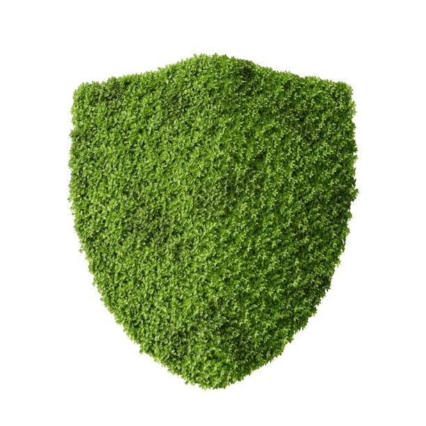 green shield guard ecology environment element isolated background. green shield guard ecology environment element isolated. green shield guard ecology environment element 3d render