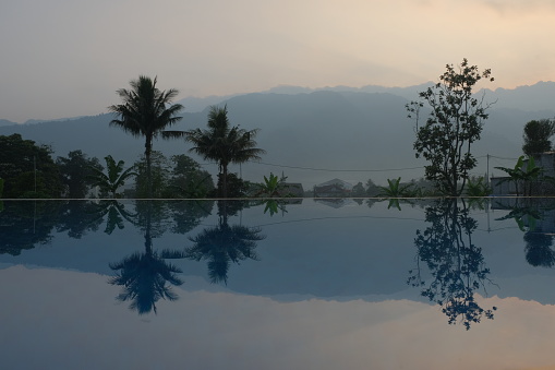 infinity pool with mountain and trees view