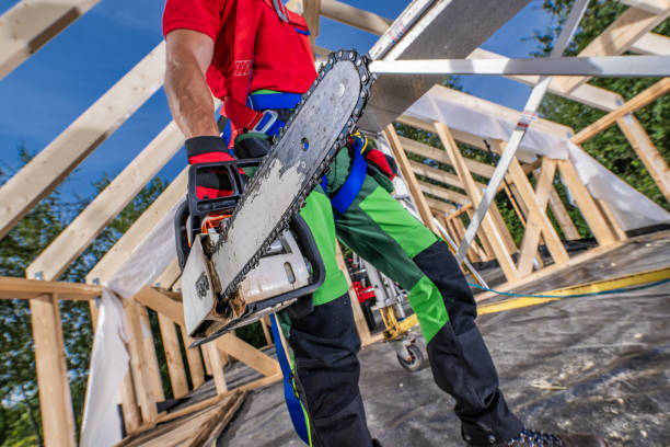 istock Worker with Chainsaw in His Hand Walking Along Wooden House Frame 1693720069
