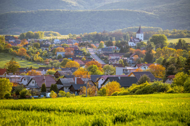 istock A Tranquil Evening in the Blossoming Countryside 1693720821