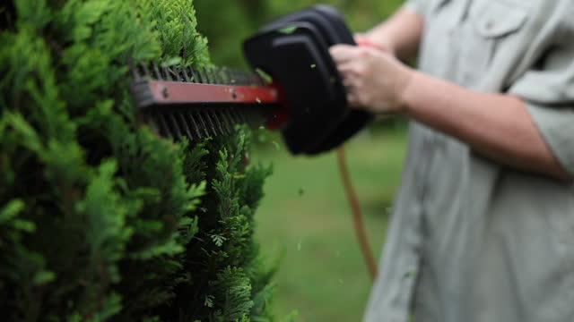 Woman gardener trimming overgrown bush by electric hedge trimmer