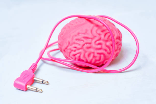 cerebro humano con un cable de alimentación rosa - brain network connection plug intelligence artificial model fotografías e imágenes de stock