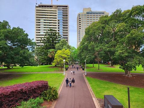 Wide straight walkway among huge trees in Sydney Hyde Park. Pylon lamps in the sides along the way. People walking, enjoying themselves. Tall buildings in the background.