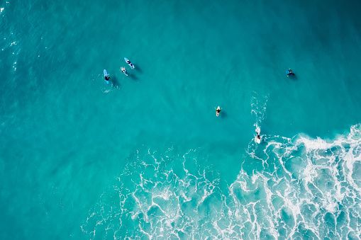 Surfers on surfboards in transparent turquoise ocean waiting wave. Aerial view