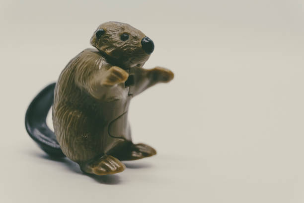 Plastic Cute Figure Animal with Copy Space Background Toys Ideas