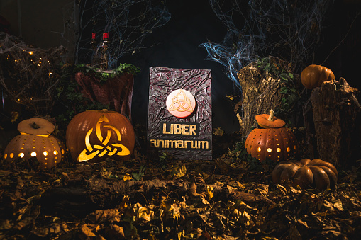Spooky Halloween banner in a misty forest with an arrangement of glowing pumpkins with carved triquetras, magic book and candles with dried leaves. Translation of the book inscription: Book of Souls
