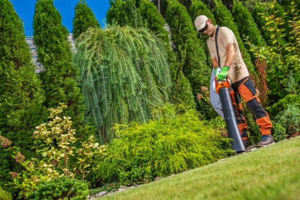 istock Professional Gardener with Electric Garden Vacuum 1693763775