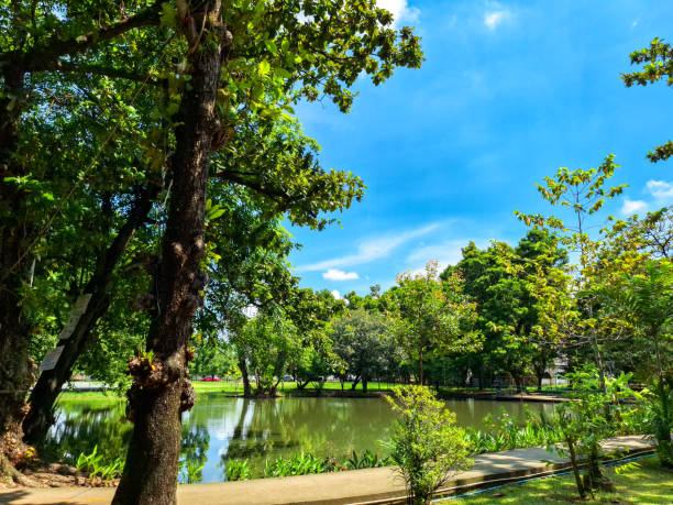 istock Park, lake, sunlight, blue sky, big tree, nature 1693764814