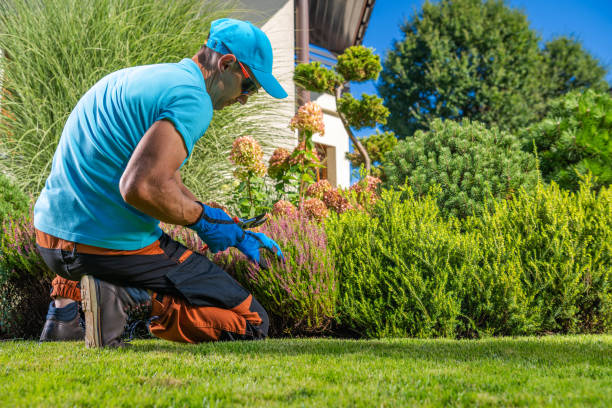istock Backyard Plants Maintenance Performed by Professional Garden Worker 1693767177