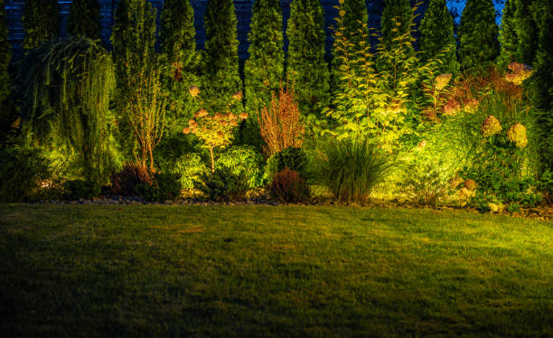 istock Matured Garden Modern LED Outdoor Lighting System 1693769415