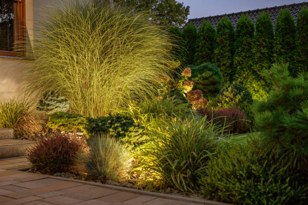 istock Modern LED Outdoor Lighting System Inside a Garden 1693769445