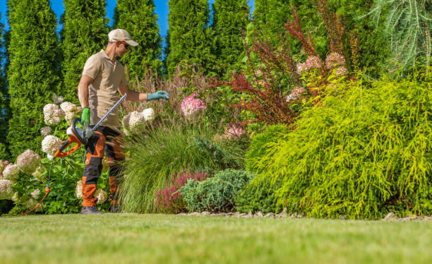istock Pro Garden Keeper with Electric Hedge Trimmer 1693770068