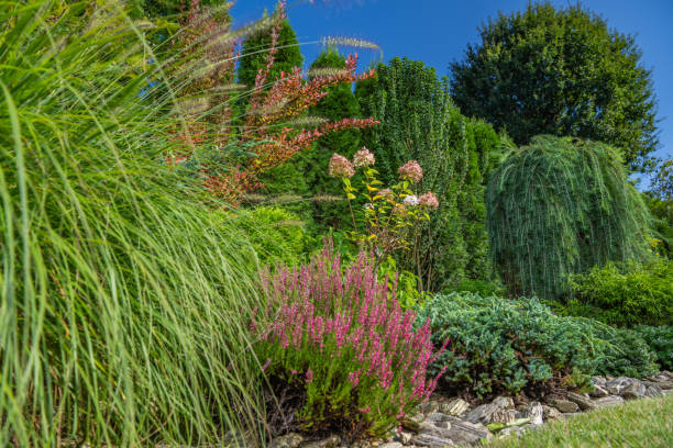 istock Matured Backyard Garden with Grasses and Heater Plants 1693770613