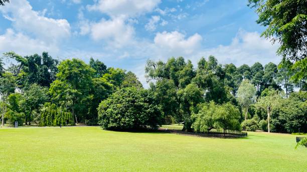 istock Botanic garden Singapore 1693777211