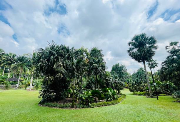 istock Botanic garden Singapore 1693780625