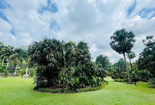 Botanische tuin Singapore