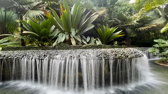 Botanische tuin Singapore