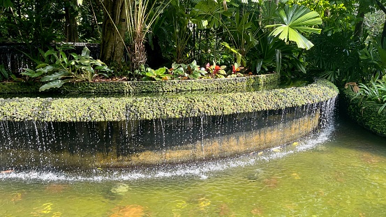 beautiful flowering plants, around the fountain, in a small courtyardsucculent close-up in the sand, decorated with stones and mossbeautiful flowering plants, around the fountain, in a small courtyard